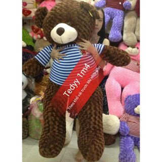 Gấu Teddy 1m5 (khổ vải trước khi nhồi gòn)