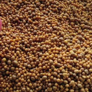 Phân tan chậm 14 14 14 gói 100g, 200g