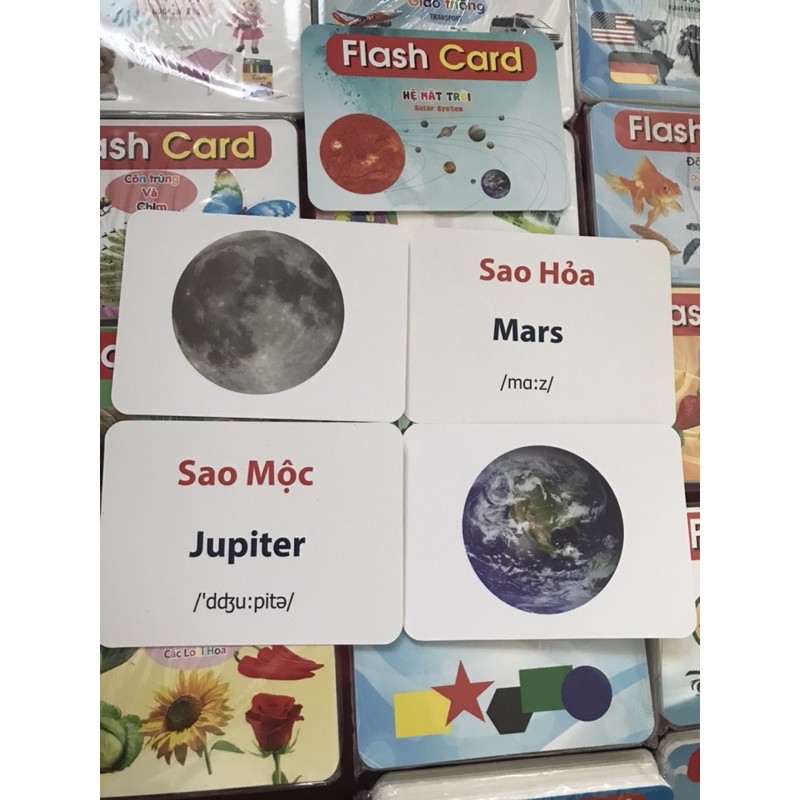 [BẢN ĐẶC BIỆT] Bộ 290 thẻ học Thông minh song ngữ Việt Anh, Bộ thẻ flash card cho trẻ từ 0 tháng - 6 tuổi | Glenn Doman