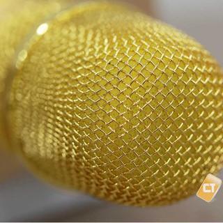 Micro karaoke kèm loa Bluetooth Tosing 016 20w