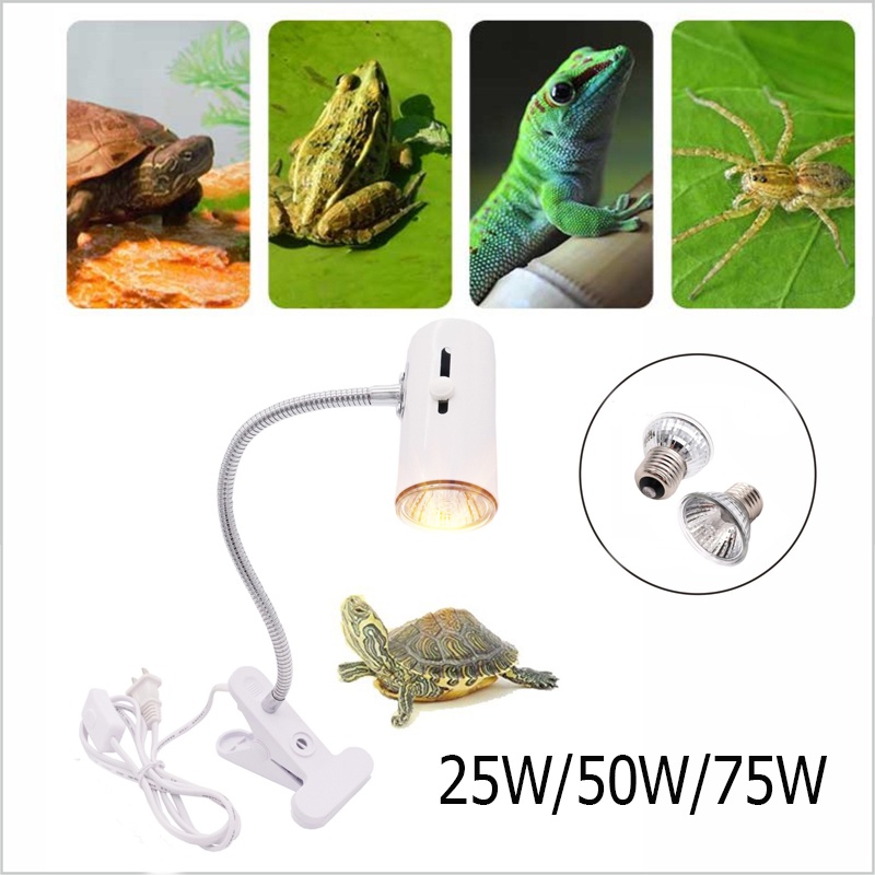 Đèn sưởi ngày cho bò sát dùng cho rùa bò sát, rùa cảnh sưởi ấm