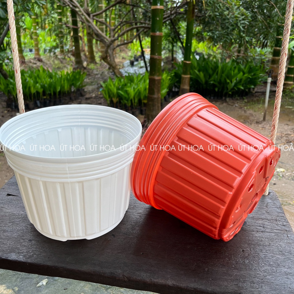 Chậu nhựa Sọc QH 200x150 dày dặn, cứng cáp