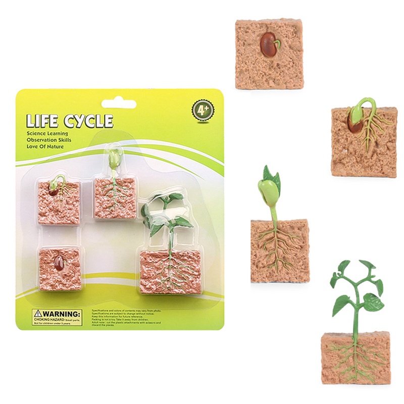 Mô Hình Côn Trùng Bằng Nhựa Đồ Chơi Giáo Dục Cho Bé