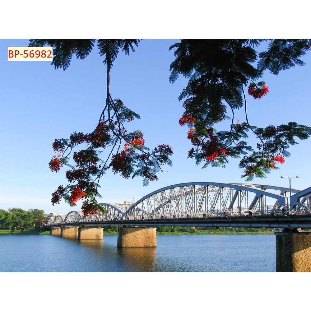 Tranh dán tường Việt Nam 3D Màu sắc tươi sáng, độ sắc nét cao, độ bền màu từ 10 năm trở lên