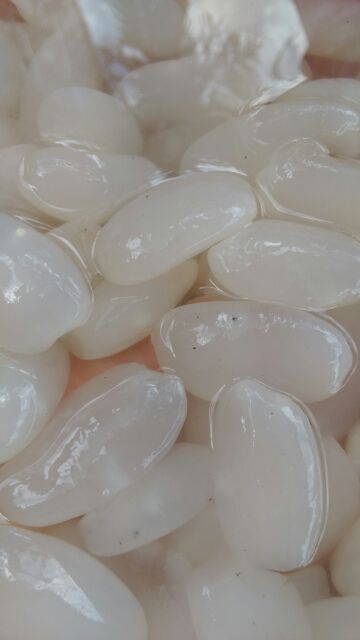 1kg hạt đác size cực to | BigBuy360 - bigbuy360.vn