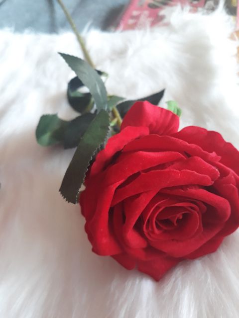 Hoa hồng nhung đỏ hoa hồng giả loại 1 cành dài 75cm hoa lụa đẹp