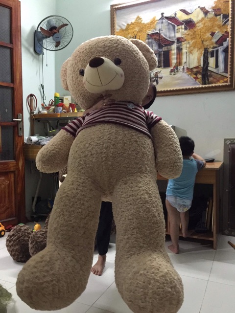 Gấu bông teddy giá sỉ