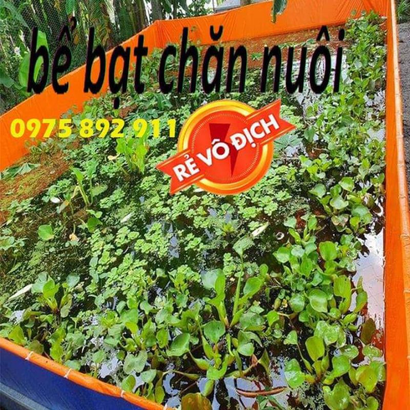Bể bạt nuôi ốc , ếch , cá , lươn - loại 1 ( 8x3x1 )