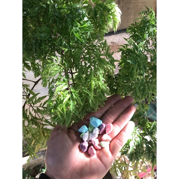 500Gr kẹo sỏi đá nhân socola tuổi thơ