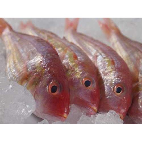 1kg CÁ ĐỔNG KHÔ XẺ ĐẶC SẢN ĐÀ NẴNG - thơm ngon ngất ngây