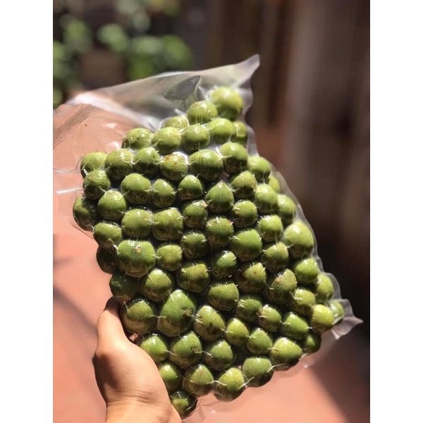 Sấu Hà Nội