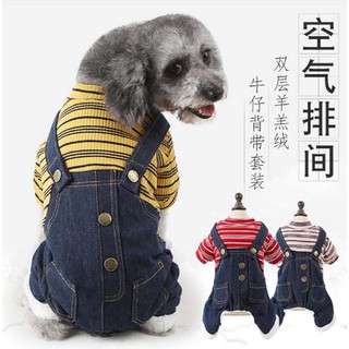 Bộ quần áo xinh xắn cho Cún