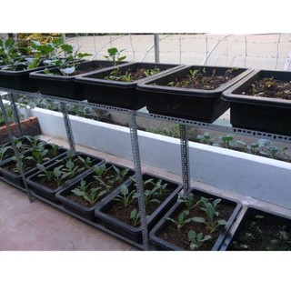 Khay nhựa trồng rau kích thước 68x44x16cm (có 2 màu xanh đen)