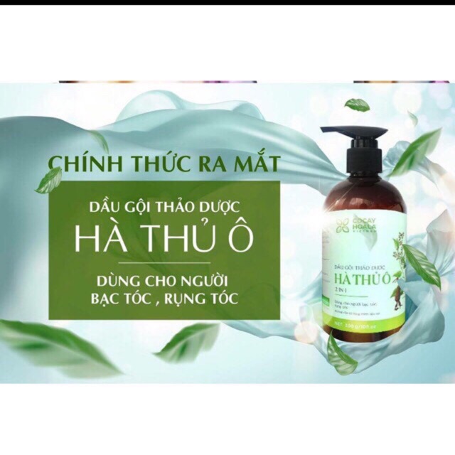 Dầu gội thảo dược Hà Thủ Ô 2 in 1(thảo dược Hà Thủ Ô,dầu Olive,dầu Macadamia,dầu Argan,tinh dầu bưởi và collagen)300g