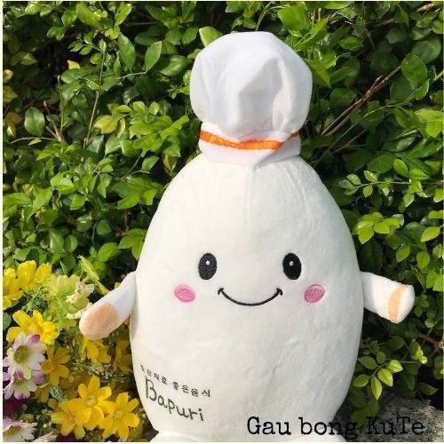 Gấu bông - Hạt cơm đầu bếp