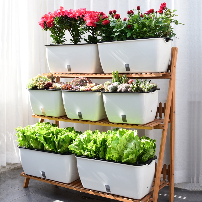 Chậu trồng cây tự tưới Oliz SC02 - Chậu trồng cây thông minh. Thiết kế 2 lớp, có chức năng tự hút nước cho cây