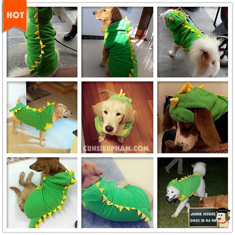 Áo cosplay khủng long xanh cho chó lớn