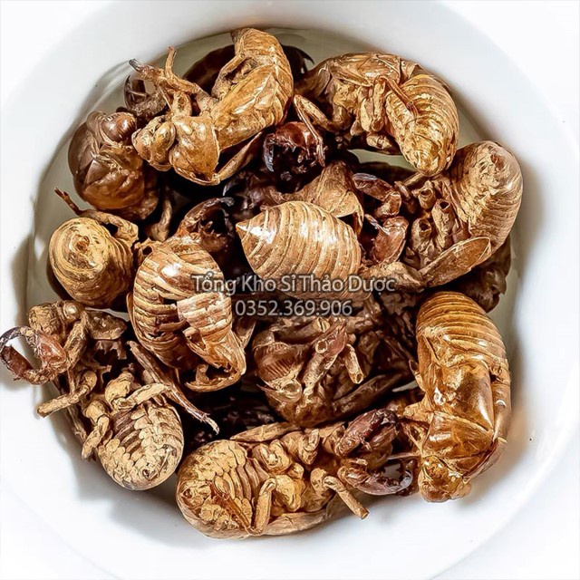Xác Ve 1kg (Thuyền Thoái, Trùng Thối)