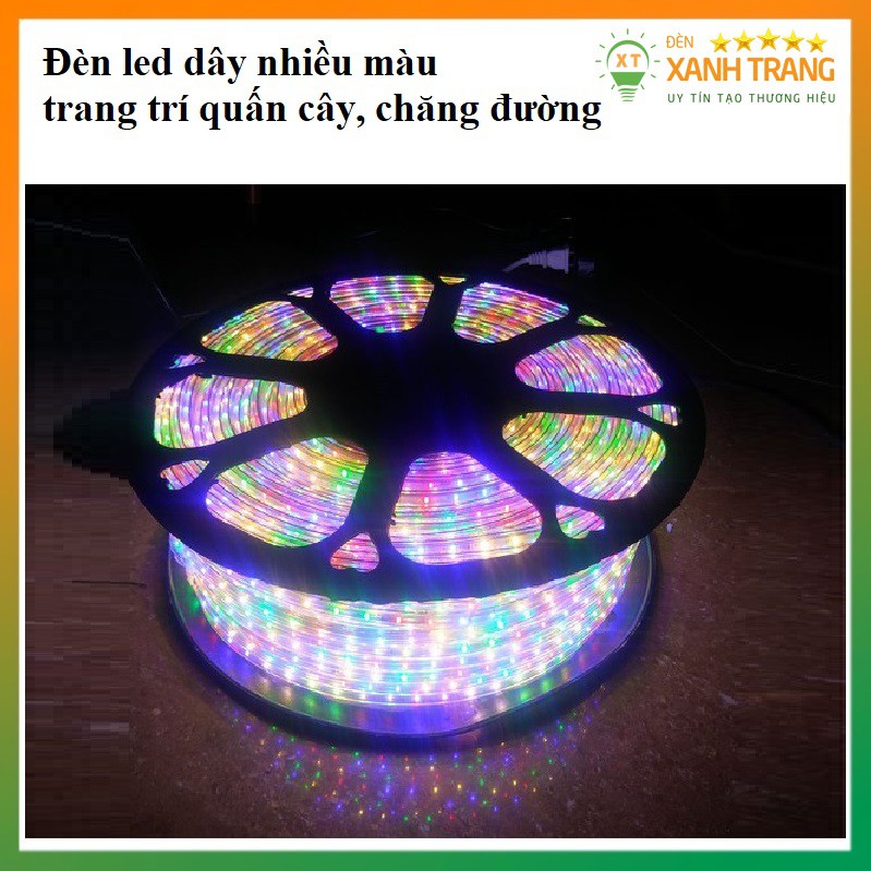 Dây Đèn Led Nhấp Nháy Nhiều Màu Trang Trí Cuốn Cây, Ngoài Đường, Ngoài Trời ( Mua trên 15M TẶNG 1 CỤC NGUỒN)
