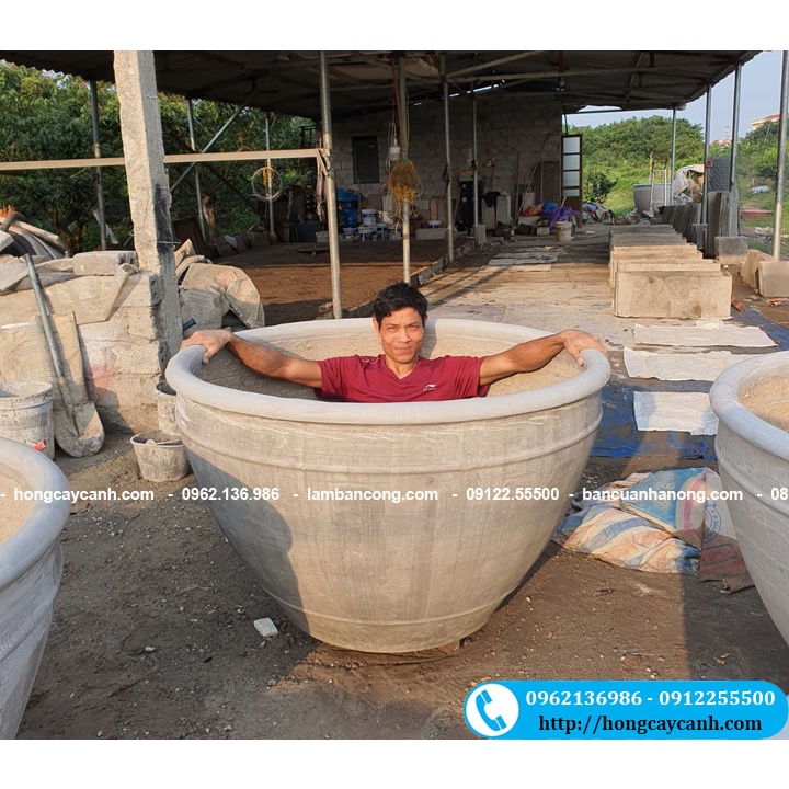 Chum Trồng Hoa Sen II Chậu Trồng Cây