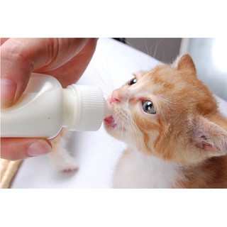 Bình Ti Bình Sữa Cho Chó Mèo Sơ Sinh