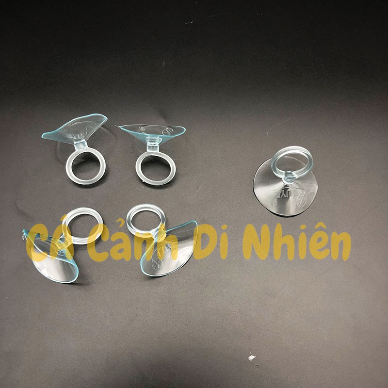 Hít kính giữ ống DÂY LỌC NƯỚC 20 mm cho hồ cá cảnh - cacanhdinhien