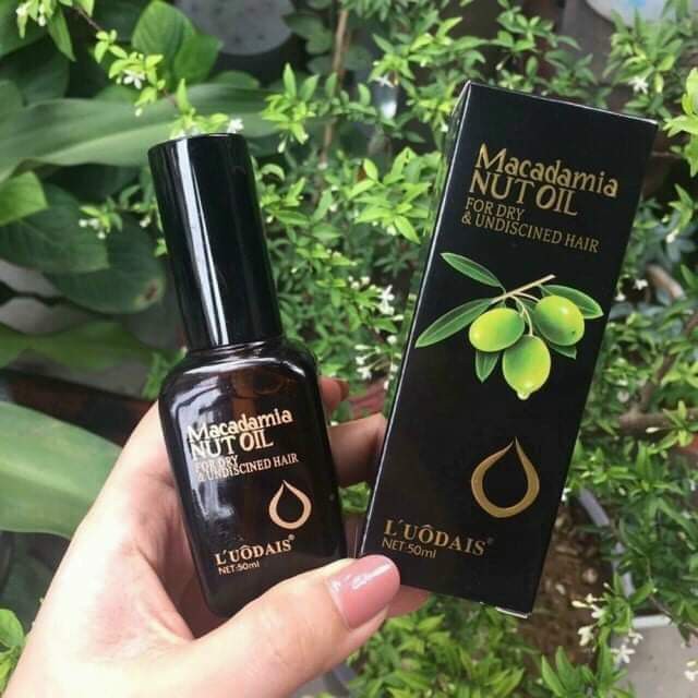 Tinh dầu dưỡng tóc macadamia nut oil ( olive ), chăm sóc tóc mềm mượt, tinh dầu dành cho mọi loại tóc giá lẻ bằng giá sỉ