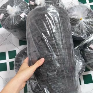 500gr rong biển nấu canh Lý Sơn