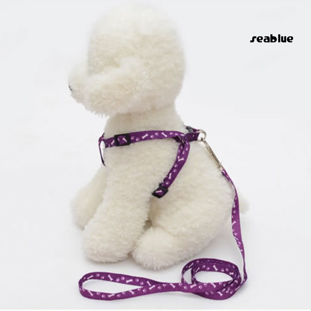 Dây Dắt Thú Cưng Đi Dạo Nhiều Màu Sắc 120cm