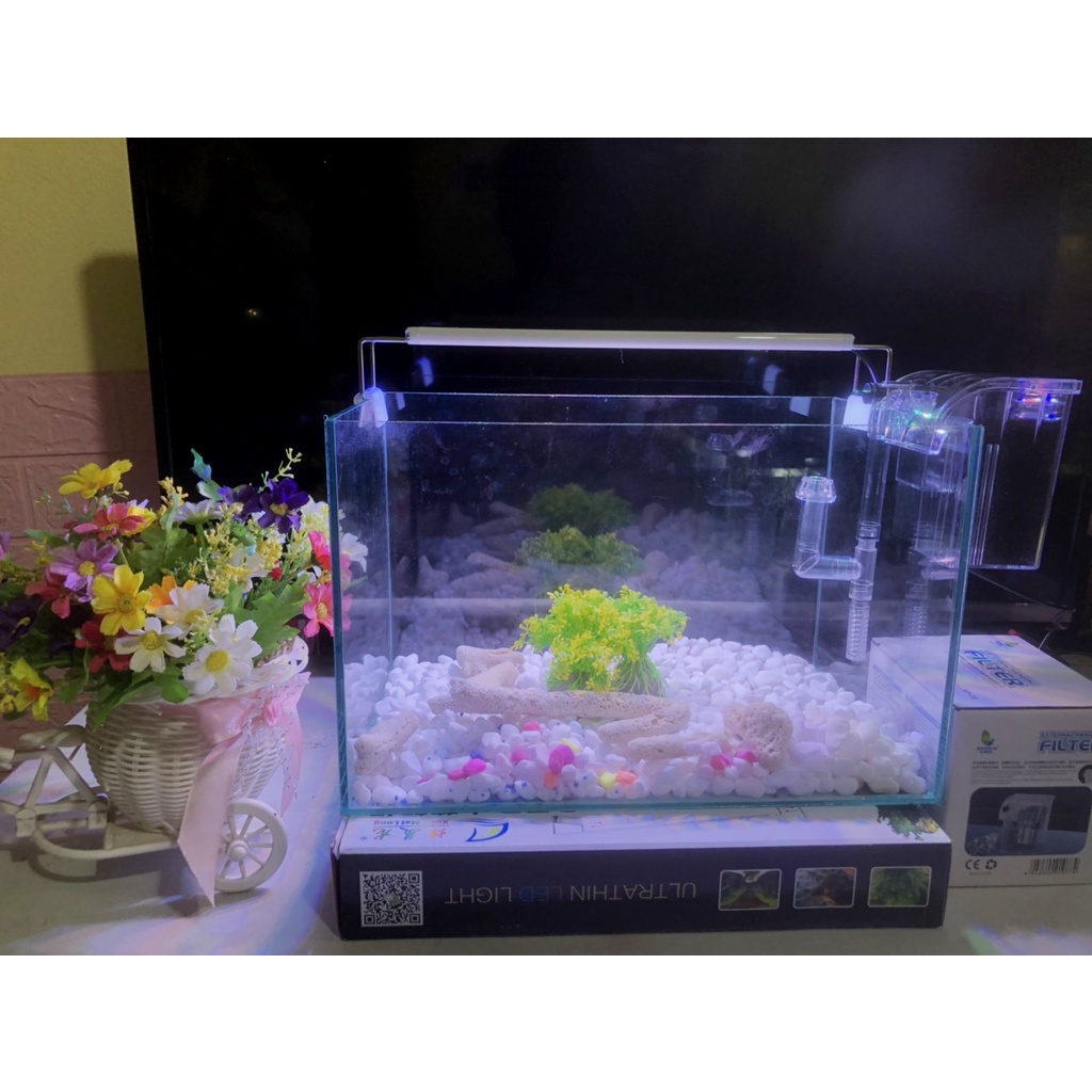 Hồ cá, bể cá cảnh thủy sinh FULL COMBO 6 món phụ kiện D32 R20 H20