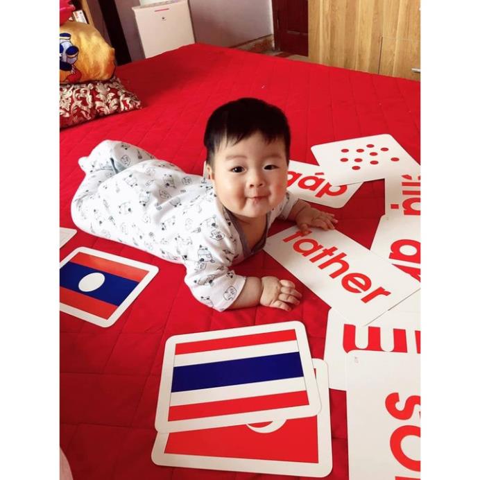 Thẻ Học Thông Minh Dạy Bé Học Đọc 100 Thẻ Flashcard Cho Bé Giác Dục Sớm Glenn Doman