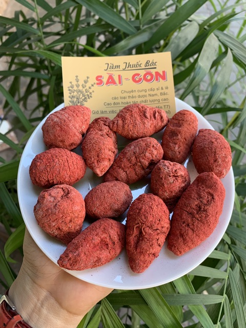 CỦ NGHỆ ĐỎ_500GRAM [ORGANIC]