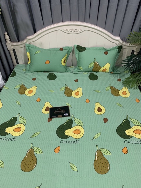 Ga chun trần cotton bambilo