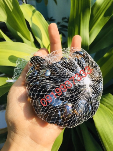 Sỏi thuỷ tinh màu trang trí ( 1 bịch 300gr nhiều màu)