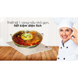 Bếp từ Kangaroo KG419i