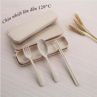 Combo bộ đũa thìa lúa mạch tiện dụng