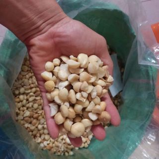 Combo 1 ky rong biển