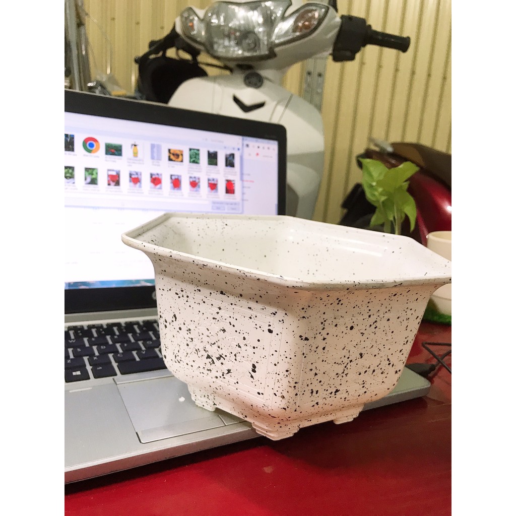 Chậu nhựa lục giác giả đá - Hoa văn in nổi