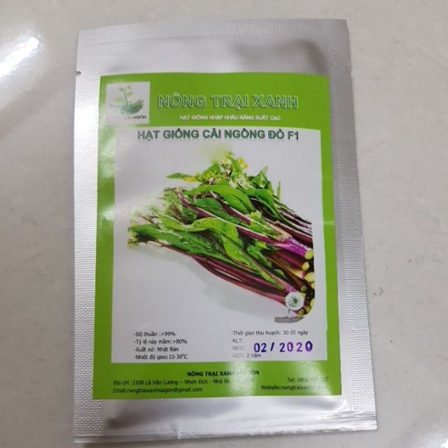 HẠT GIỐNG RAU CẢI NGỒNG ĐỎ F1 DINH DƯỠNG , NGỌT(20GR)