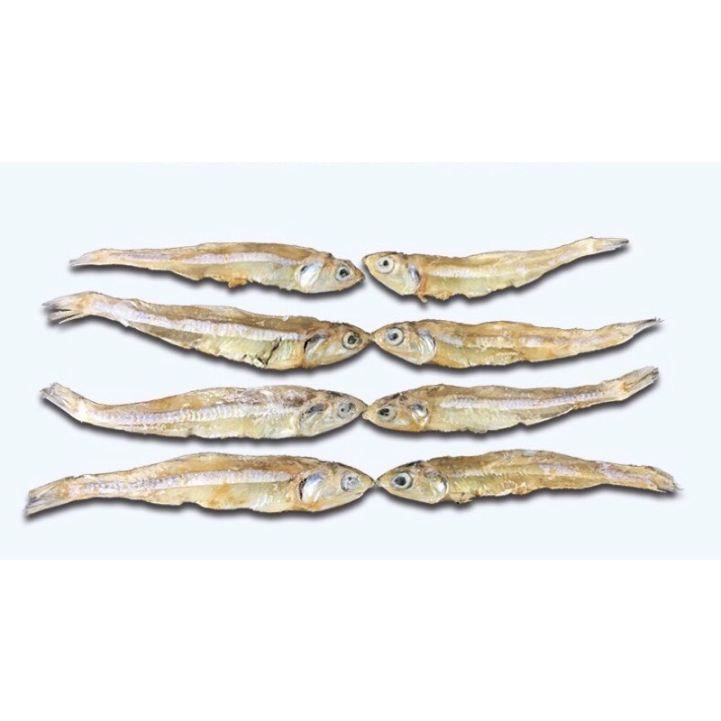 CÁ SẤY KHÔ ĐỒ ĂN VẶT CHO THÚ CƯNG LOẠI KHỦNG LONG MÀU XANH