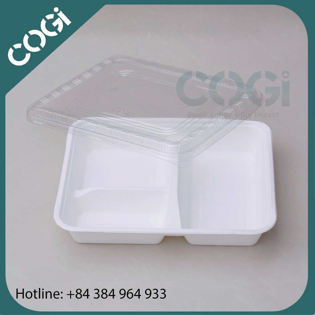 COMBO 50 HỘP CƠM BÃ MÍA 3 NGĂN 800ML - NẮP NHỰA