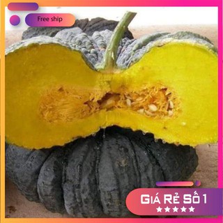 Hạt giống Bí đỏ da cóc F1 (1g)