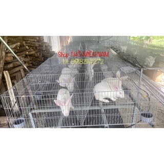 Lồng Nuôi Thỏ Sinh Sản Kẽm To 2 Ngăn