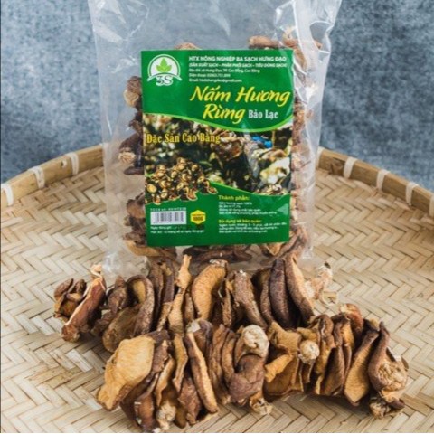 Nấm hương rừng Đặc sản cao bằng Khối lượng 100G/Thực phẩm tự nhiên/ 3 Sạch/Sản xuất sạch/Phân phối sạch/Tiêu dùng sạch