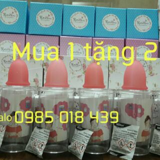 Cốc nguyệt san sibell