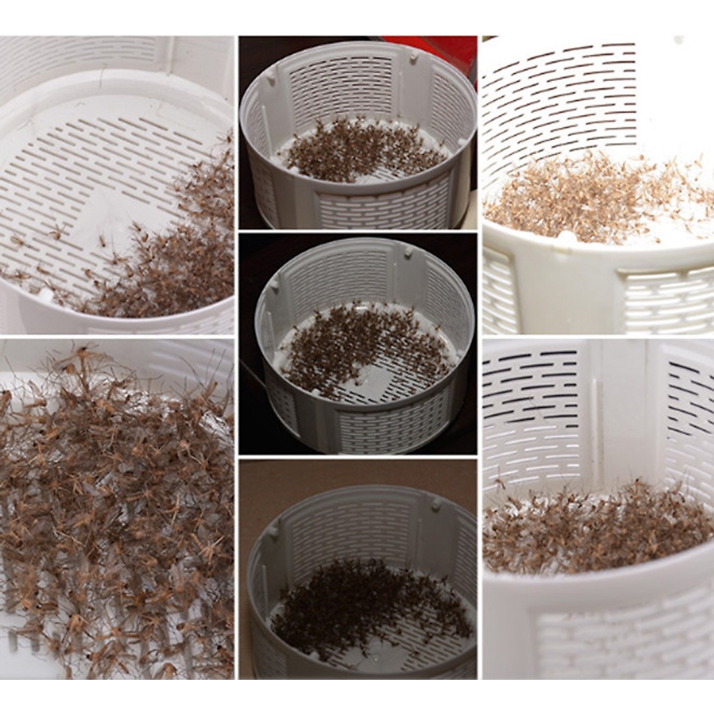 Đèn Bắt Muỗi Có Quạt Hút Mosquito Killing