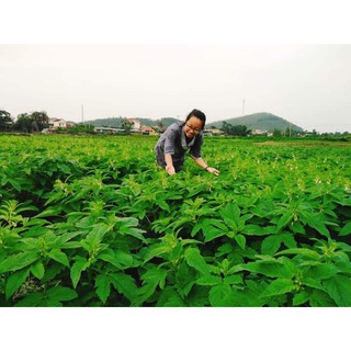 Hạt vừng đen 1kg