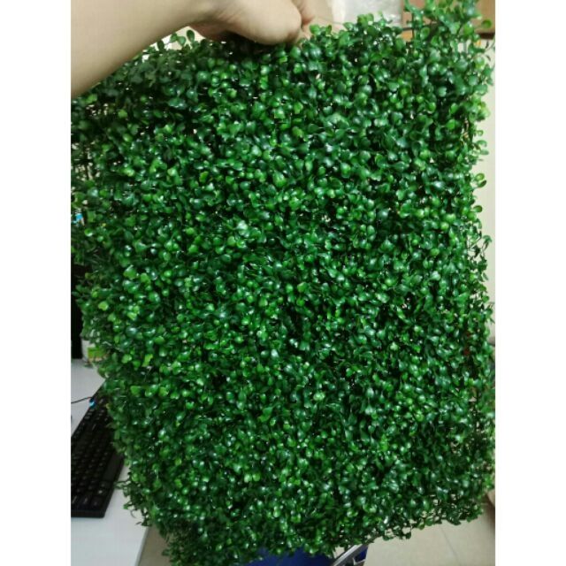 Thảm cải xoong. 35k