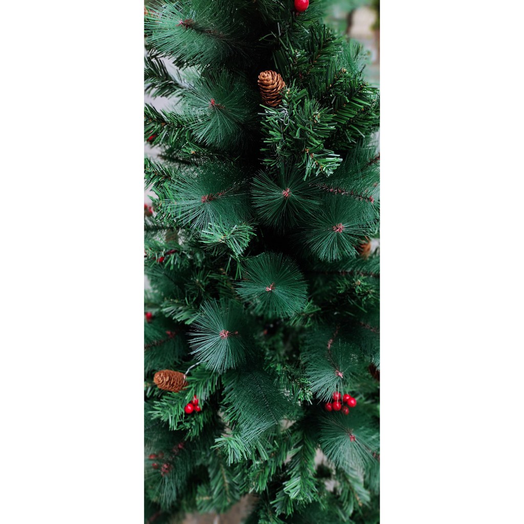 Cây thông cao 1.2m hai loại lá dày rậm hàng cao cấp