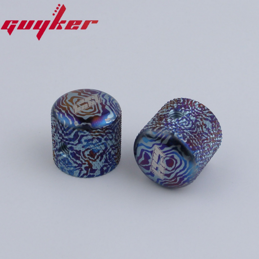 1 Núm Vặn Hợp Kim Titan Thay Thế Cho Đàn Guitar Điện Fend TL